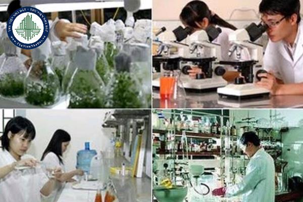 Hình thức gửi phiếu thông tin về ứng dụng kết quả thực hiện nhiệm vụ khoa học và công nghệ được quy định như thế nào?