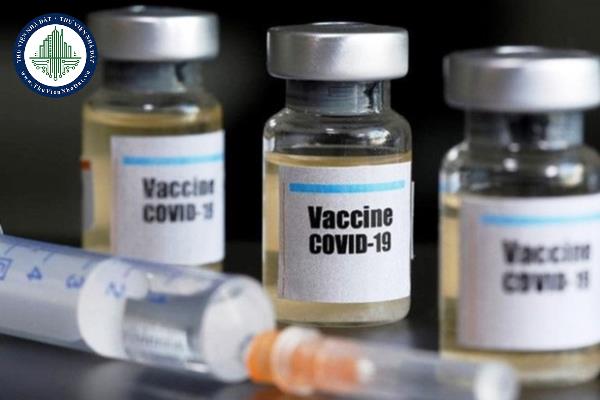 Hồ sơ, thủ tục công bố cơ sở giáo dục kiểm tra ngôn ngữ trong hành nghề dược tại Việt Nam được quy định ra sao?