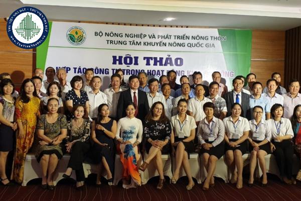 Hợp tác quốc tế về khuyến nông được thực hiện như thế nào?