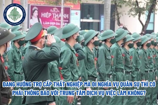 thuviennhadat.vn