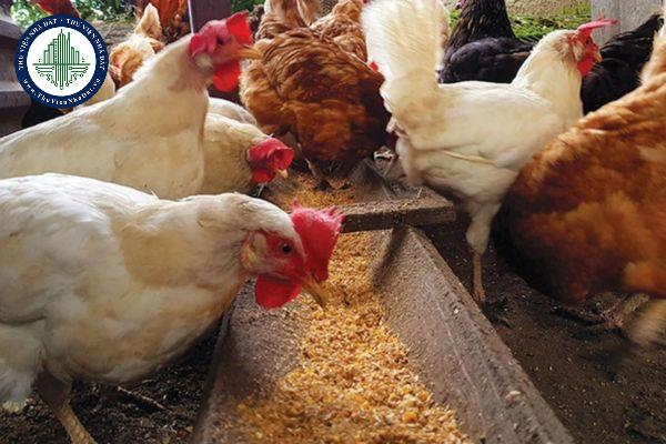 Không phân tích chất lượng sản phẩm thức ăn chăn nuôi trong quá trình sản xuất phạt bao nhiêu?