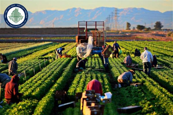 Kiểm soát rủi ro trong bảo hiểm nông nghiệp được định nghĩa như thế nào?