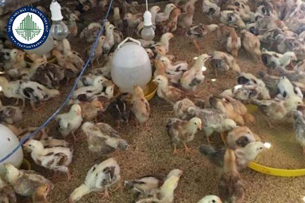 Mức xử phạt đối với hành vi không thực hiện kiểm dịch động vật, sản phẩm động vật thủy sản được quy định như thế nào?