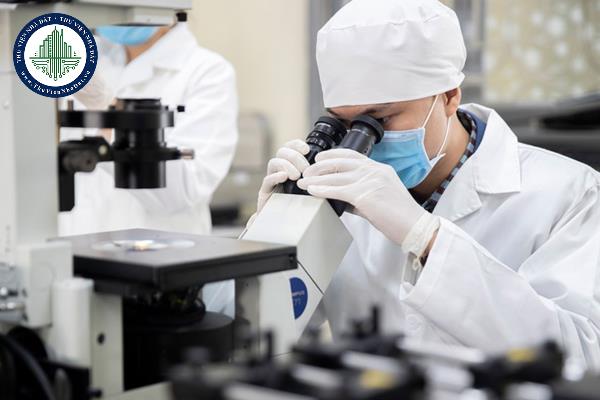 Nguyên tắc đào tạo, bồi dưỡng nghiệp vụ đối với công, viên chức thuế được quy định như thế nào?