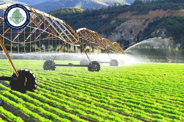 Nguyên tắc thực hiện và chính sách hỗ trợ bảo hiểm nông nghiệp được quy định như thế nào?
