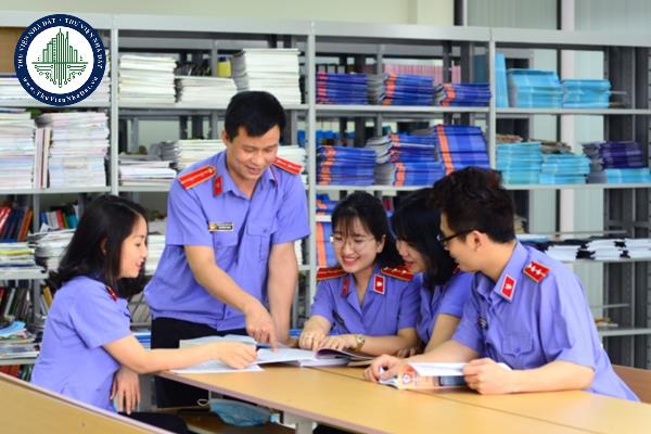 Nhiệm vụ, quyền hạn của Trưởng đoàn, Phó Trưởng đoàn và các thành viên đoàn kiểm tra Tòa án nhân dân được quy định như thế nào?