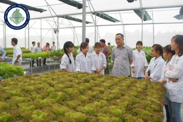 Nhiệm vụ, quyền hạn của UBND xã, phường, thị trấn trong lĩnh vực nông nghiệp, lâm nghiệp, ngư nghiệp, thuỷ lợi được quy định như thế nào?