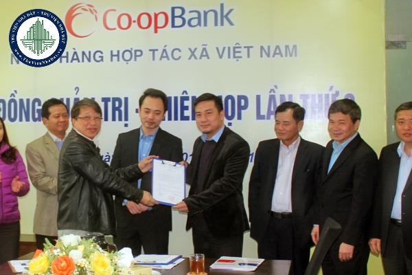 Nội dung hoạt động đơn vị sự nghiệp của ngân hàng hợp tác xã gồm những gì?