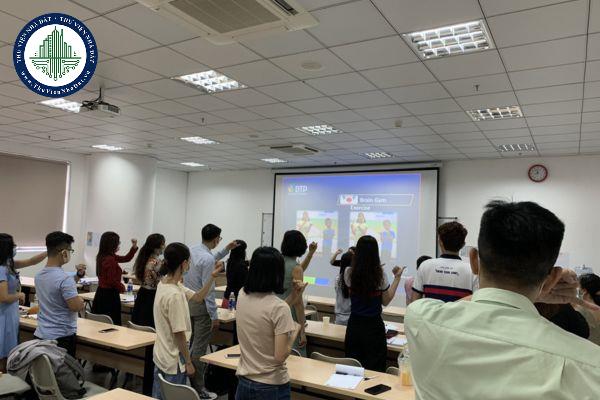 Phương thức tổ chức đào tạo trình độ đại học theo tín chỉ được quy định như thế nào?