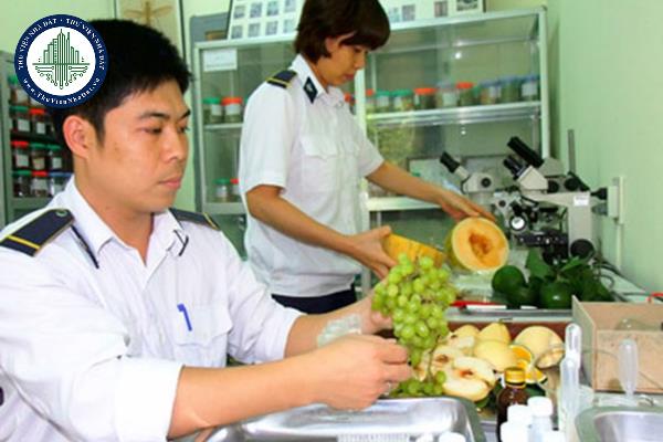 Quy trình phân tích nguy cơ dịch hại đối với vật thể thuộc diện kiểm dịch thực vật bao gồm mấy giai đoạn?