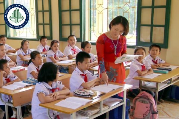 Quyền hạn và nghĩa vụ tài chính của tổ chức kiểm định chất lượng giáo dục là gì?