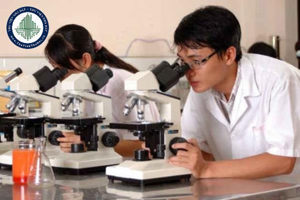 Quyền và nghĩa vụ của giám định viên tư pháp được quy định ra sao?