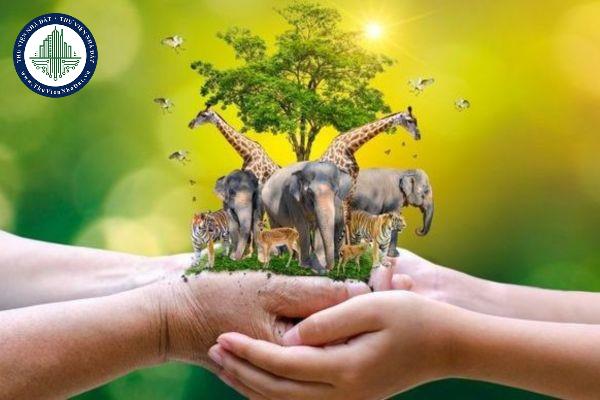 Quyết định loài được đưa vào hoặc đưa ra khỏi Danh mục loài nguy cấp, quý, hiếm được ưu tiên bảo vệ được quy định như thế nào?