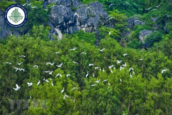 Sử dụng đất trong khu bảo tồn được quy định như thế nào?