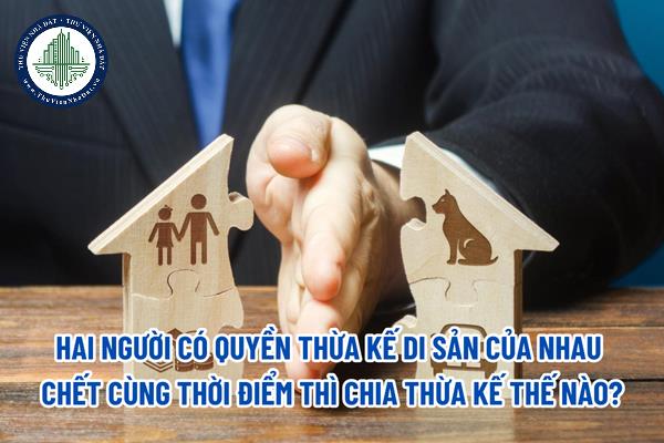 thuviennhadat.vn