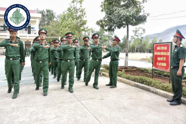 thuviennhadat.vn