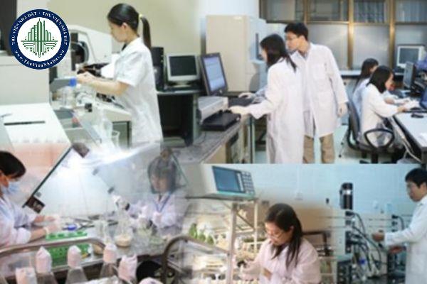 Tiêu chuẩn đối với người giám định tư pháp theo vụ việc ở lĩnh vực GTVT được quy định như thế nào?