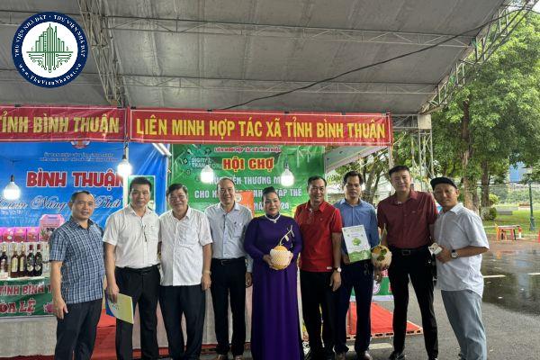 Tiêu chuẩn, trách nhiệm của kiểm soát viên Quỹ HTX địa phương theo mô hình HTX được quy định như thế nào?