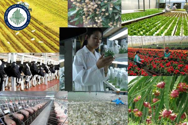 Trách nhiệm của Ủy ban nhân dân cấp tỉnh khi công nhận doanh nghiệp nông nghiệp ứng dụng công nghệ cao được quy định như thế nào?