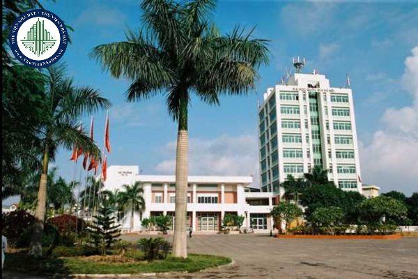 Trách nhiệm và tiêu chuẩn của phó giám đốc đại học quốc gia được quy định như thế nào?