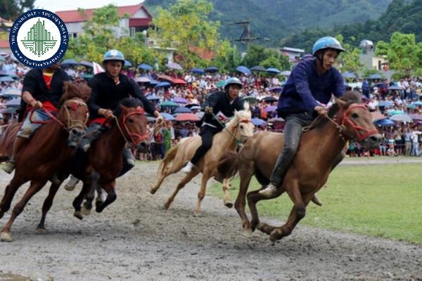 Trọng tài của cuộc đua ngựa phải đảm bảo tiêu chuẩn nào?