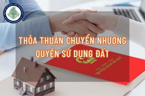 thuviennhadat.vn