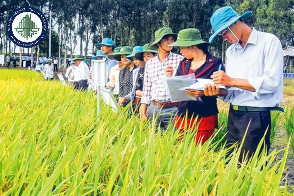 Việc xem xét lại kết quả phân tích nguy cơ dịch hại đã thực hiện được quy định như thế nào?