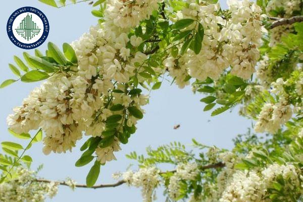 thuviennhadat.vn