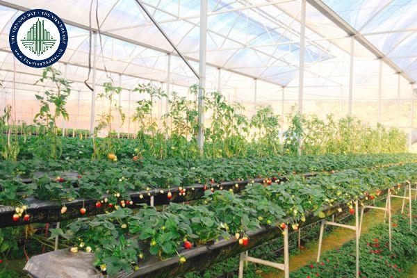 Đất nông nghiệp khác là gì? Đất nông nghiệp khác dùng để làm gì?