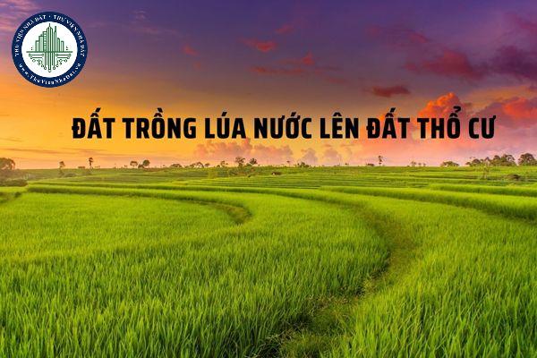 Đất trồng lúa nước lên đất thổ cư có được hay không?