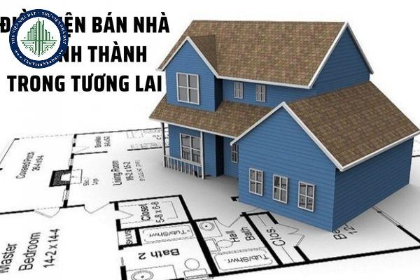 thuviennhadat.vn