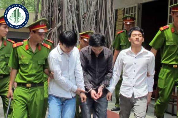 thuviennhadat.vn