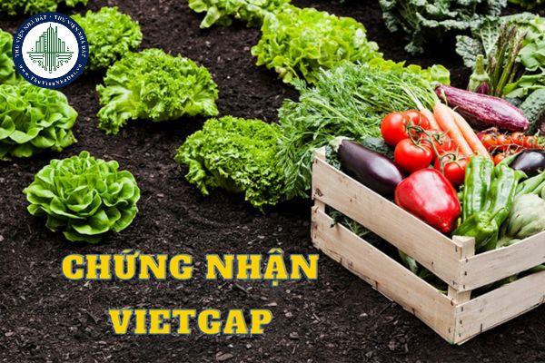 https://cdn.thuviennhadat.vn/upload/bds/VTH/giam-sat-vietgap.jpg