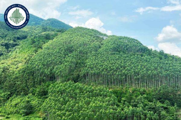 thuviennhadat.vn