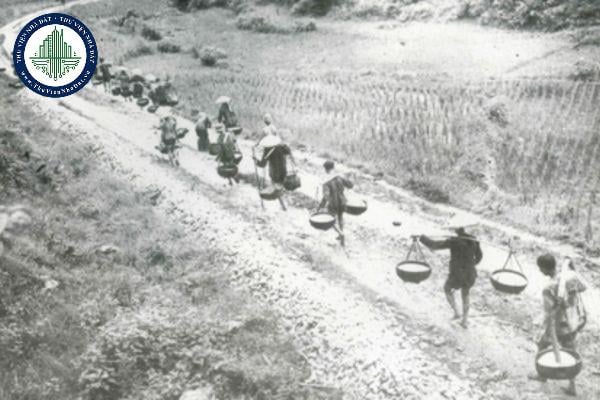 thuviennhadat.vn