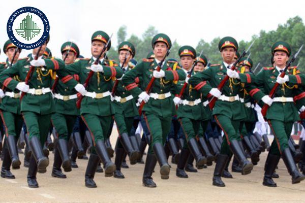 thuviennhadat.vn
