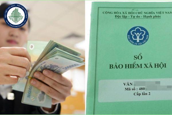 thuviennhadat.vn