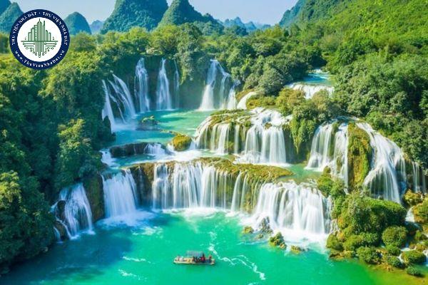 thuviennhadat.vn
