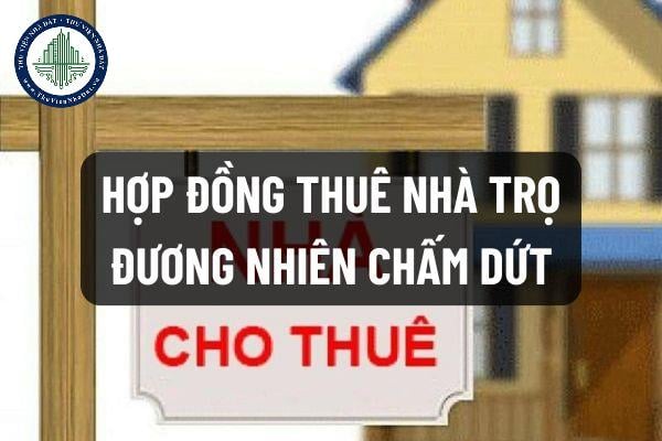thuviennhadat.vn