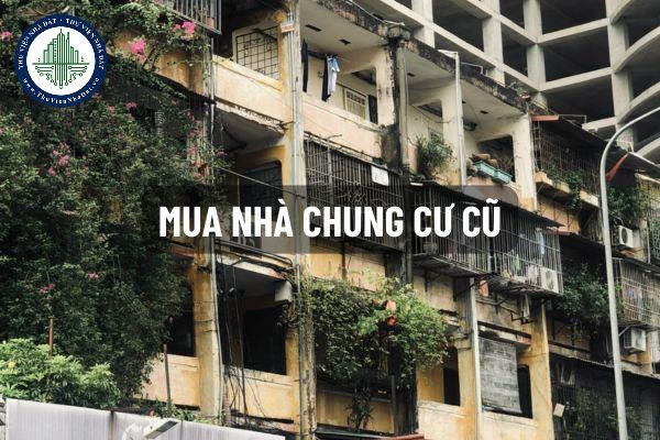 thuviennhadat.vn