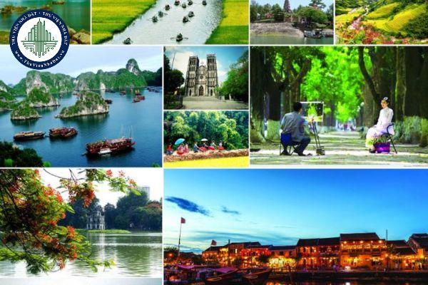 thuviennhadat.vn