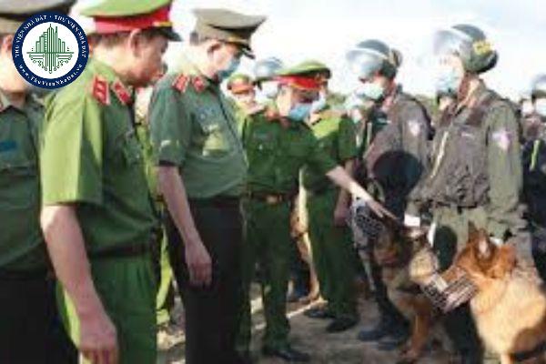 thuviennhadat.vn
