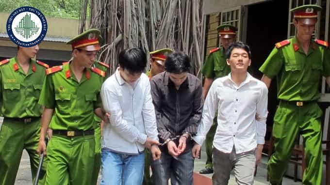 thuviennhadat.vn