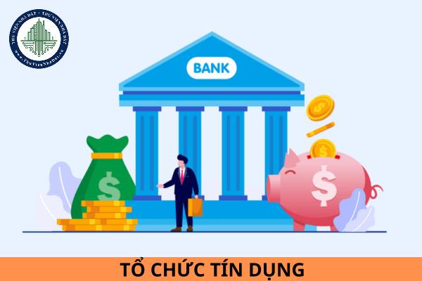 thuviennhadat.vn