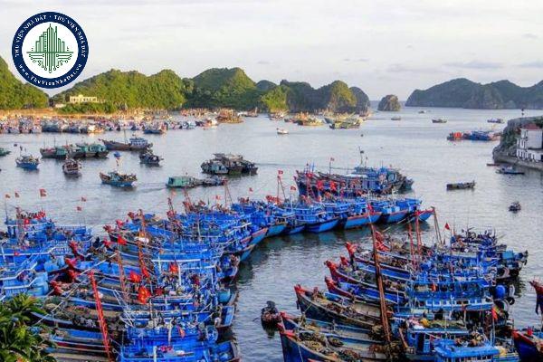 thuviennhadat.vn