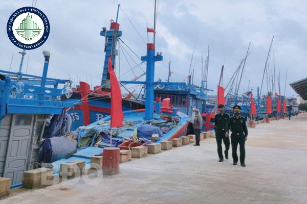 thuviennhadat.vn