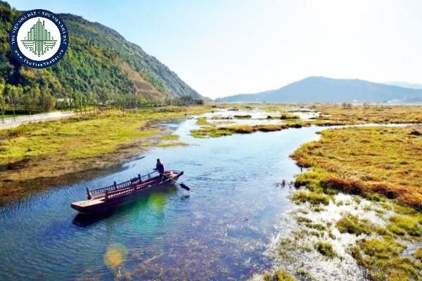 thuviennhadat.vn