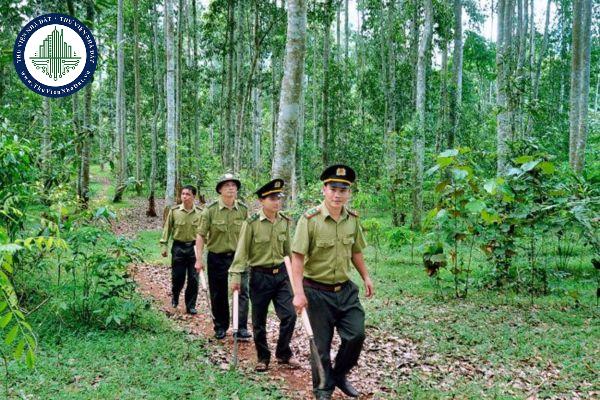 thuviennhadat.vn