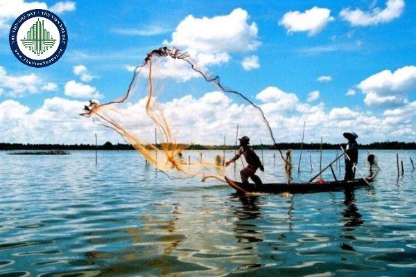 thuviennhadat.vn