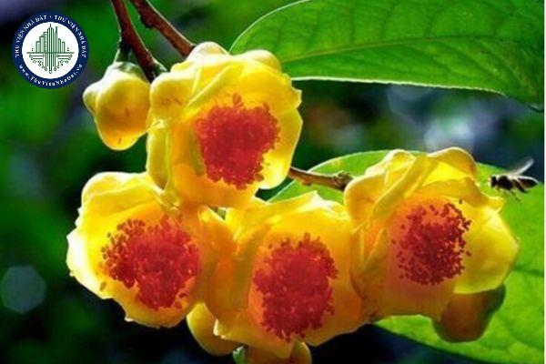 thuviennhadat.vn